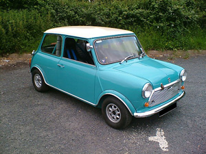 Mini